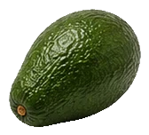 Fresh avocado